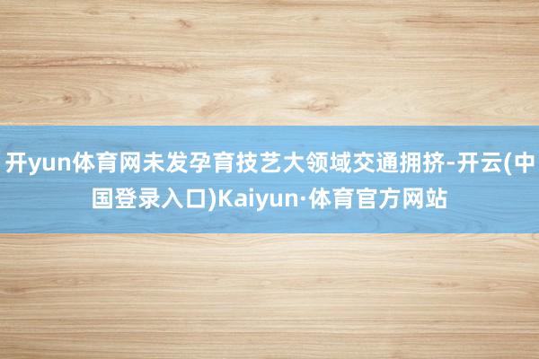 开yun体育网未发孕育技艺大领域交通拥挤-开云(中国登录入口)Kaiyun·体育官方网站