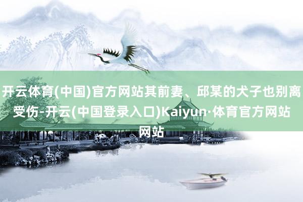 开云体育(中国)官方网站其前妻、邱某的犬子也别离受伤-开云(中国登录入口)Kaiyun·体育官方网站